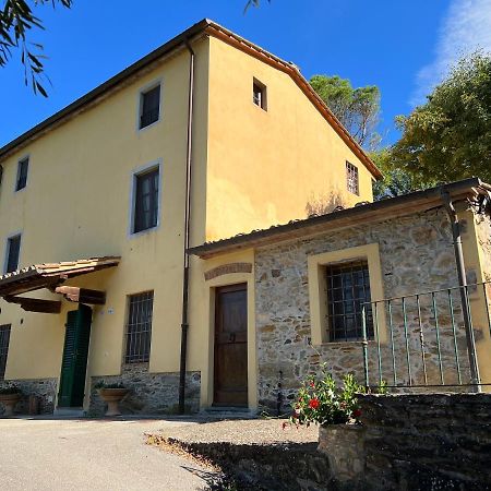 Podere Santino Lucca Esterno foto